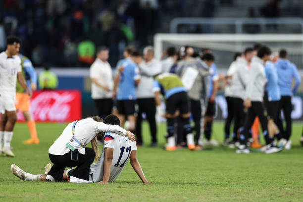 毕竟需要花 毕竟需要花